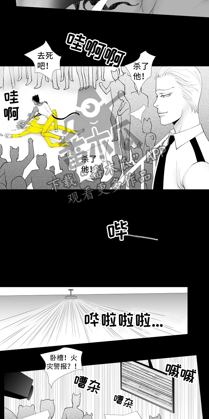 第13章：重要的事4