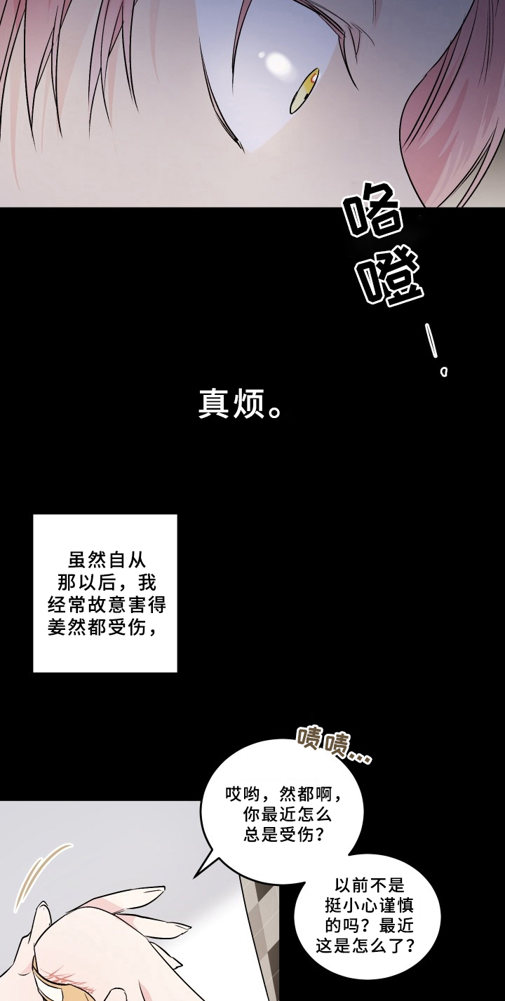 第72章：梅子伙伴：注意1