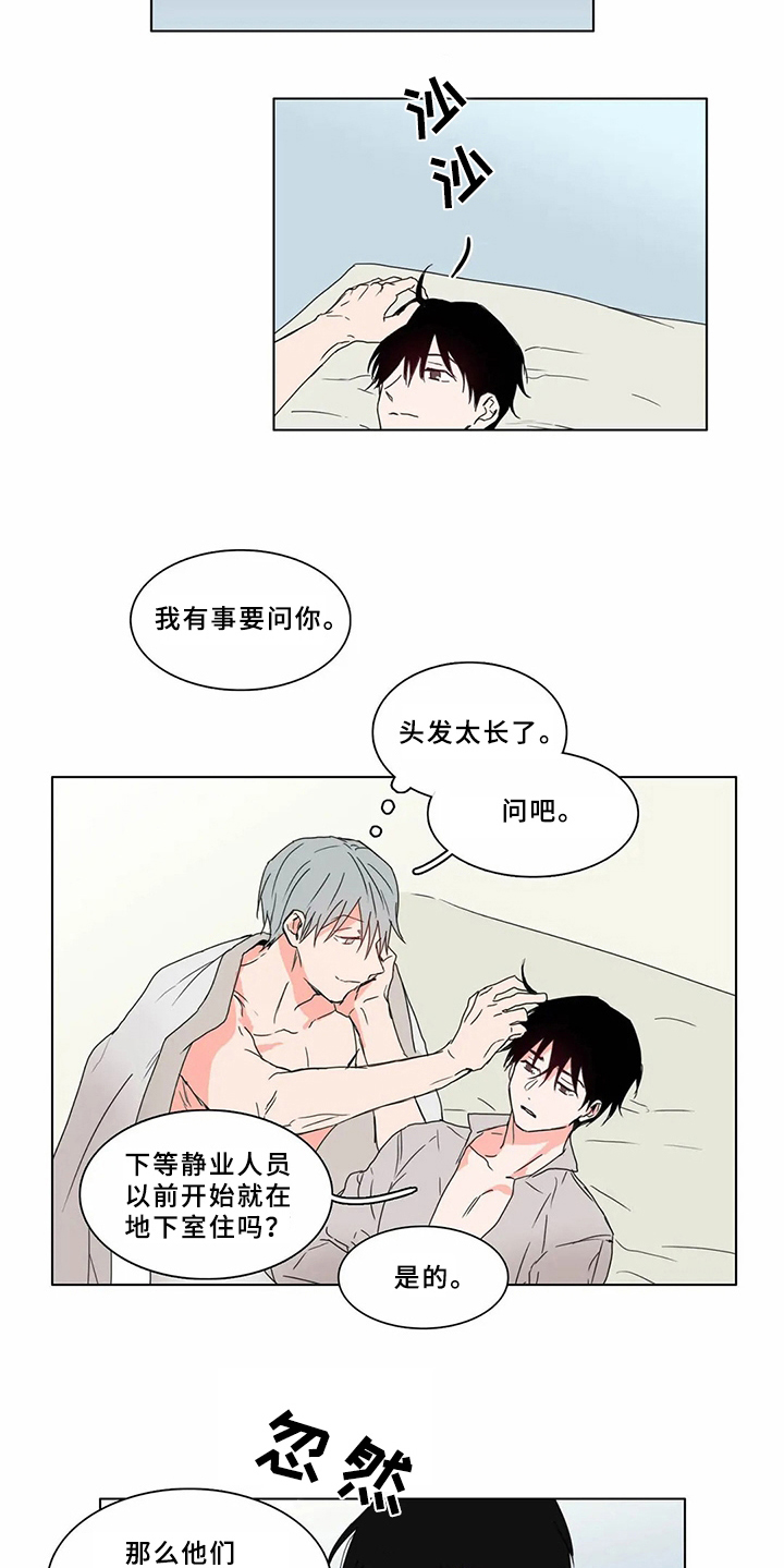 第64章：少爷观察记：该做的事3