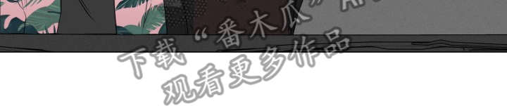 第89章：完美的假期：归程0