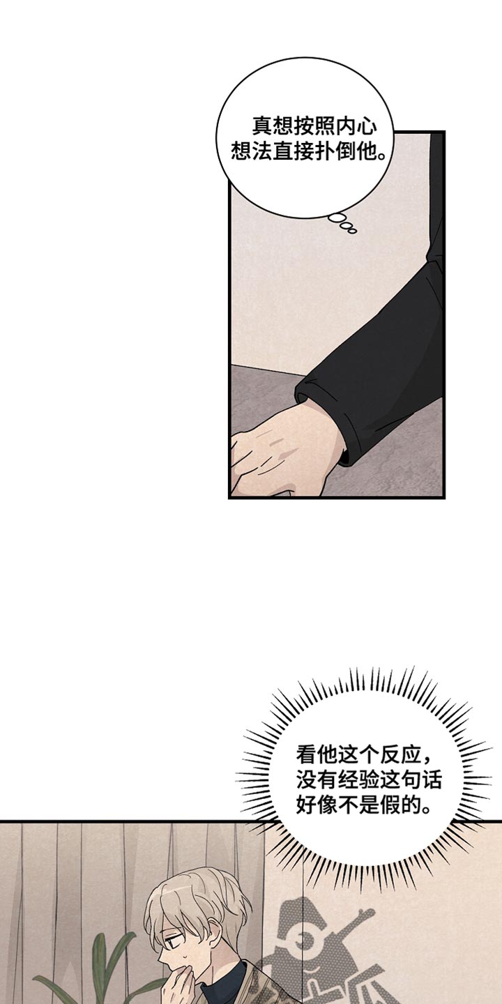 第37章：如实回答0