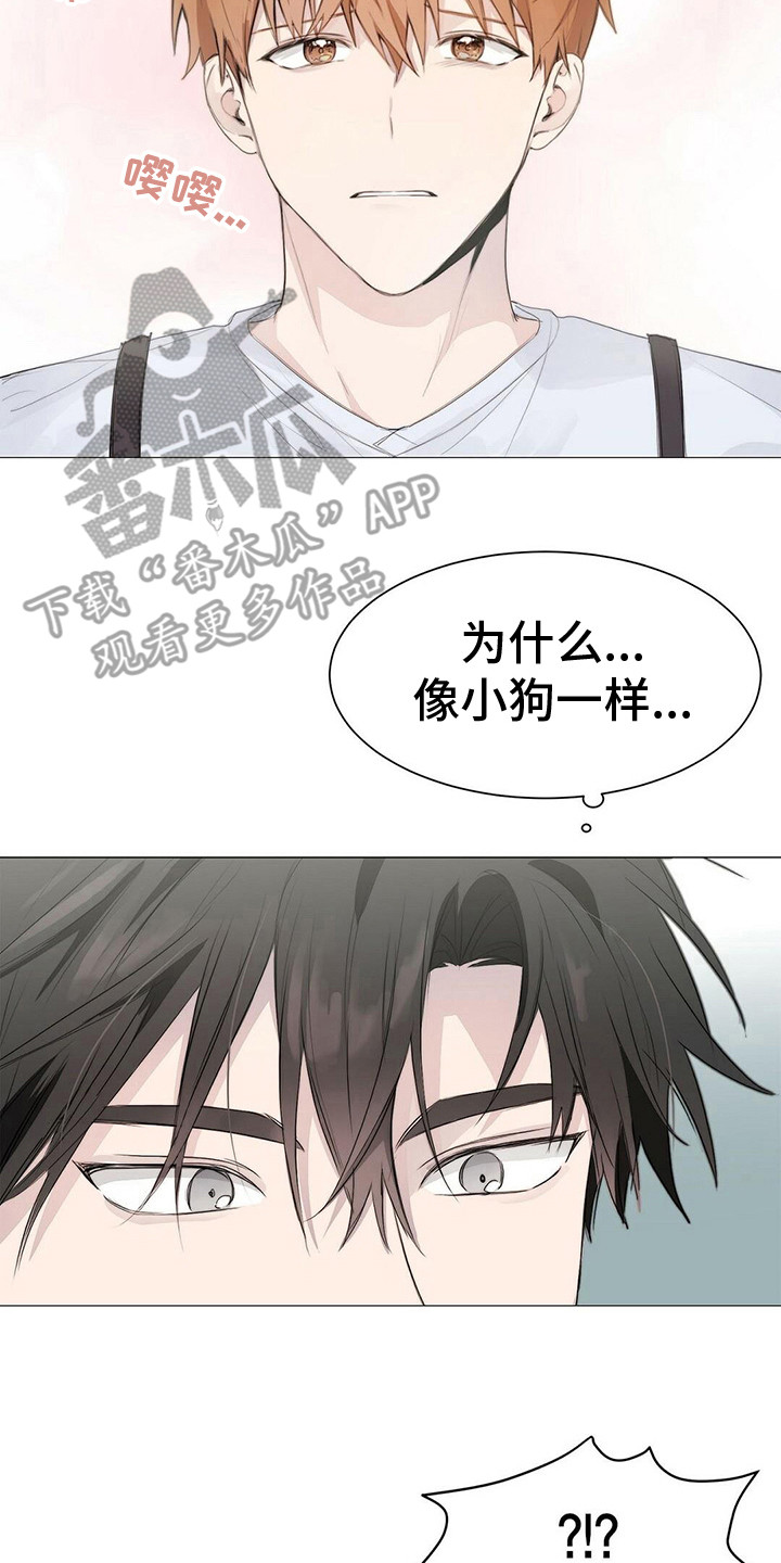 第8章：指责1