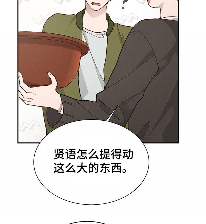 第46章：关系4