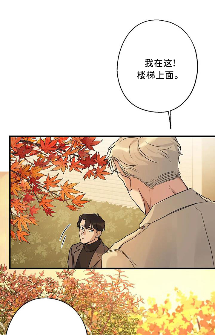 第33章：同意0