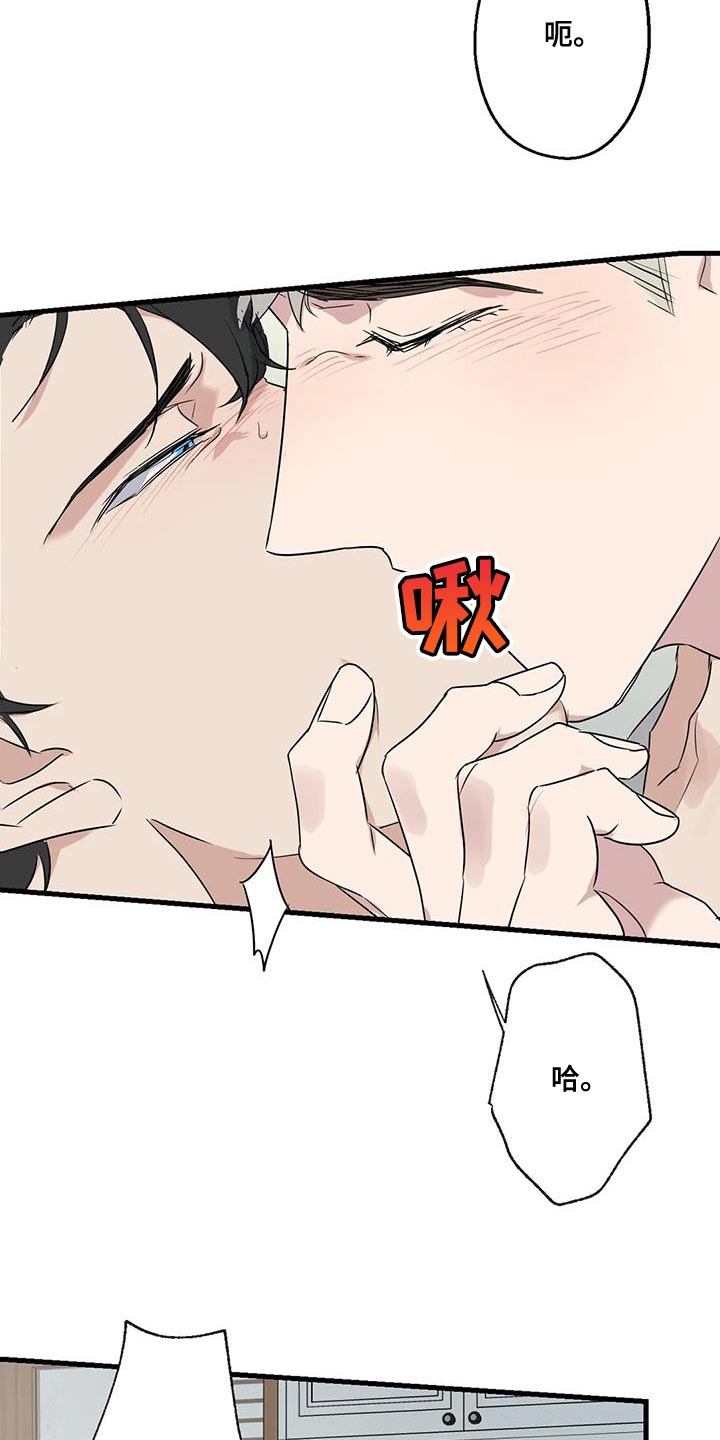 第65章：复仇3