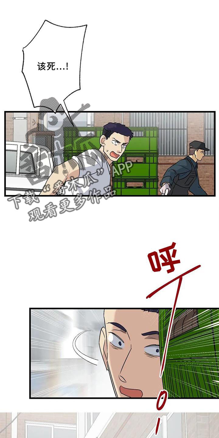 第36章：捉贼0