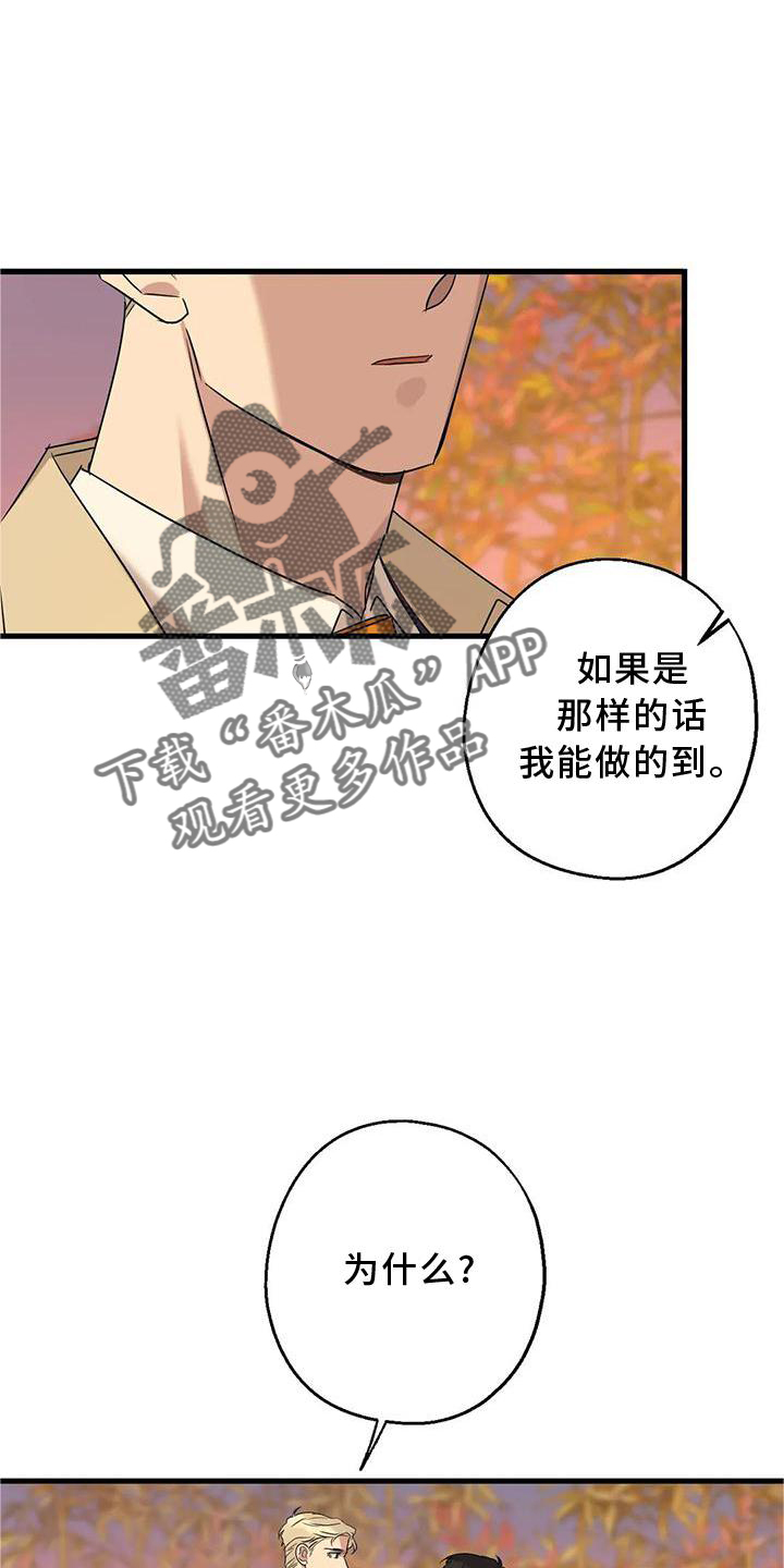 第34章：假恋爱1
