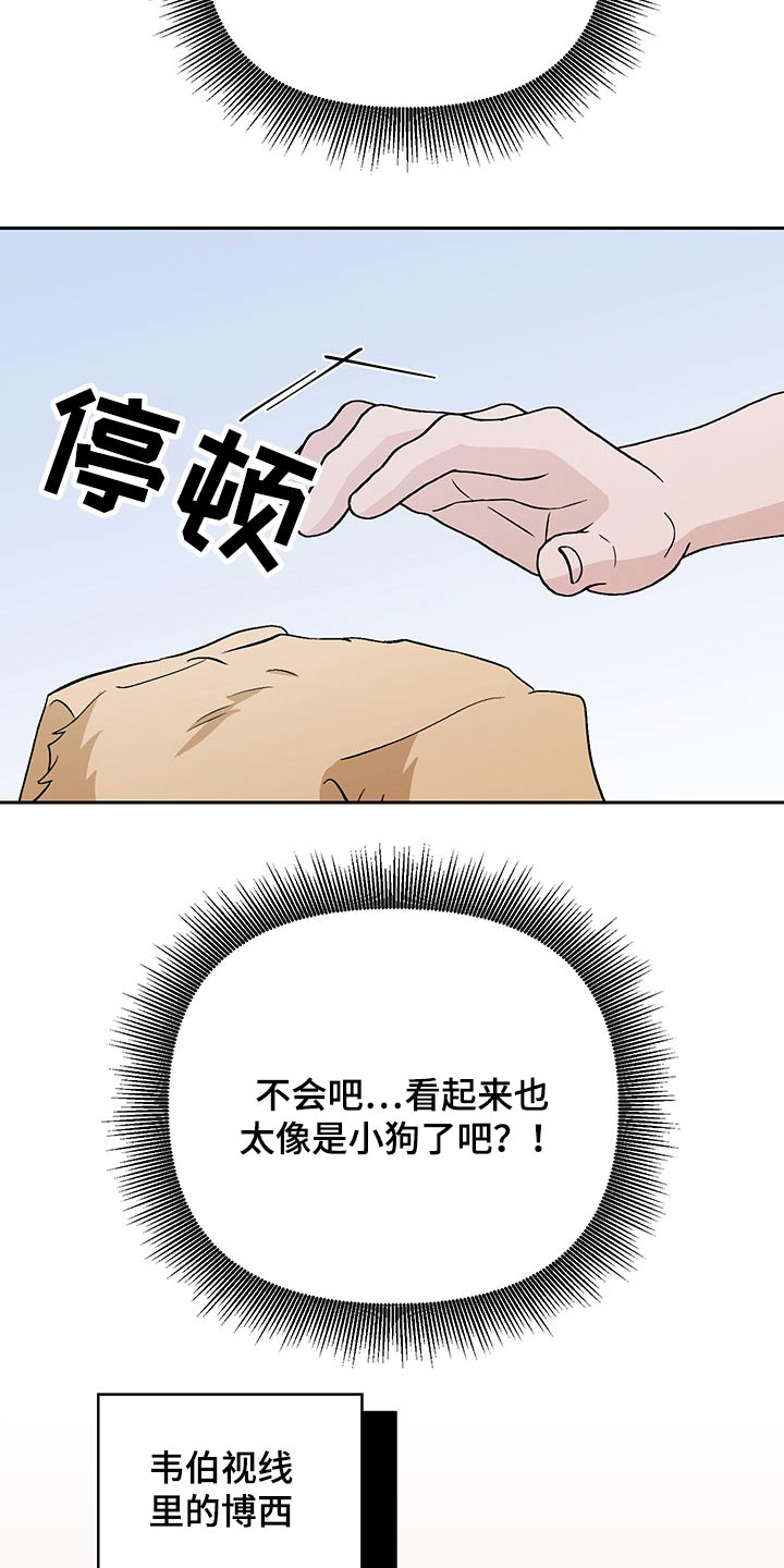 第33章：药物2