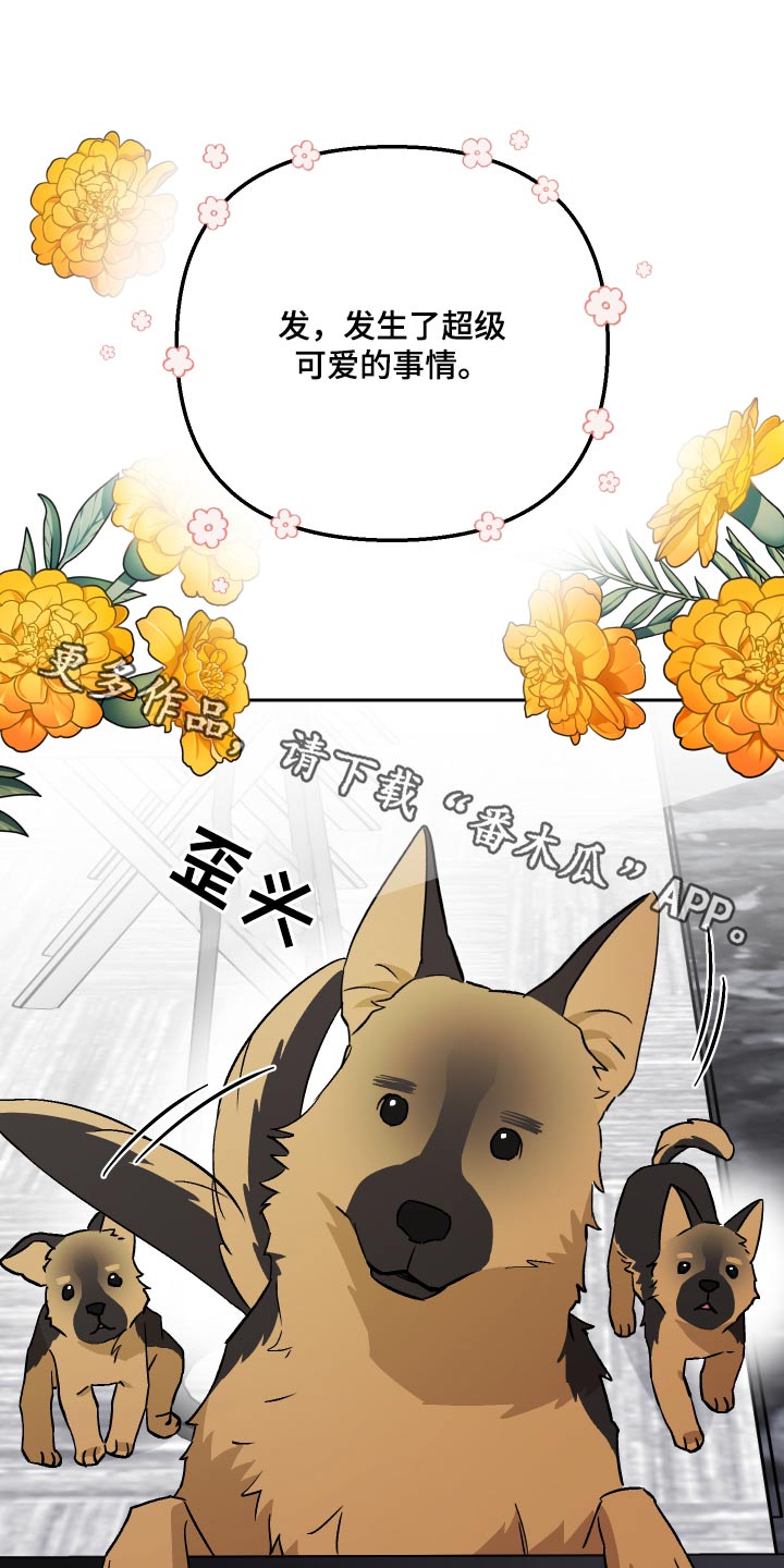 第102章：【第二季】什么关系0