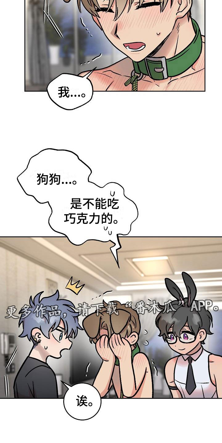 第48章：惊喜3