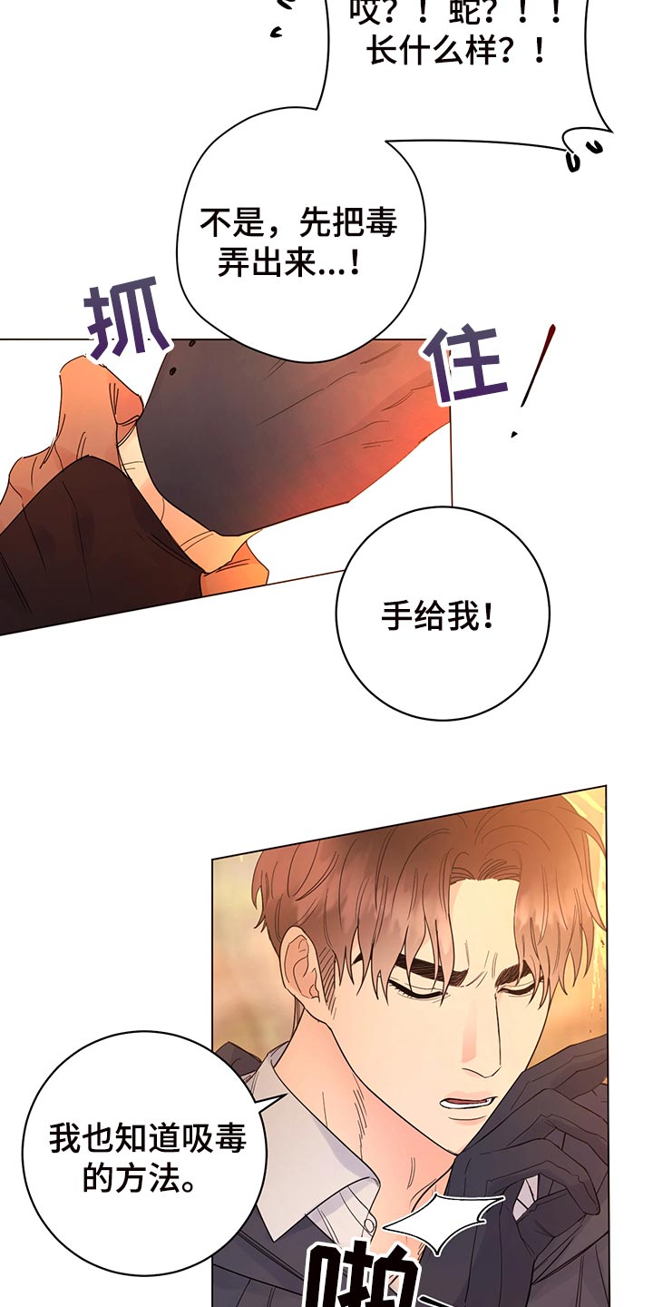第111章：【番外】毒蛇1