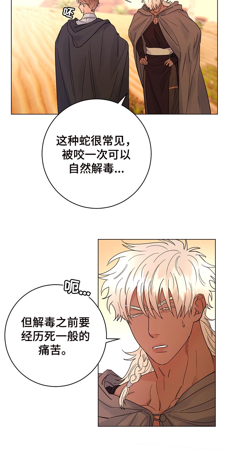第111章：【番外】毒蛇4