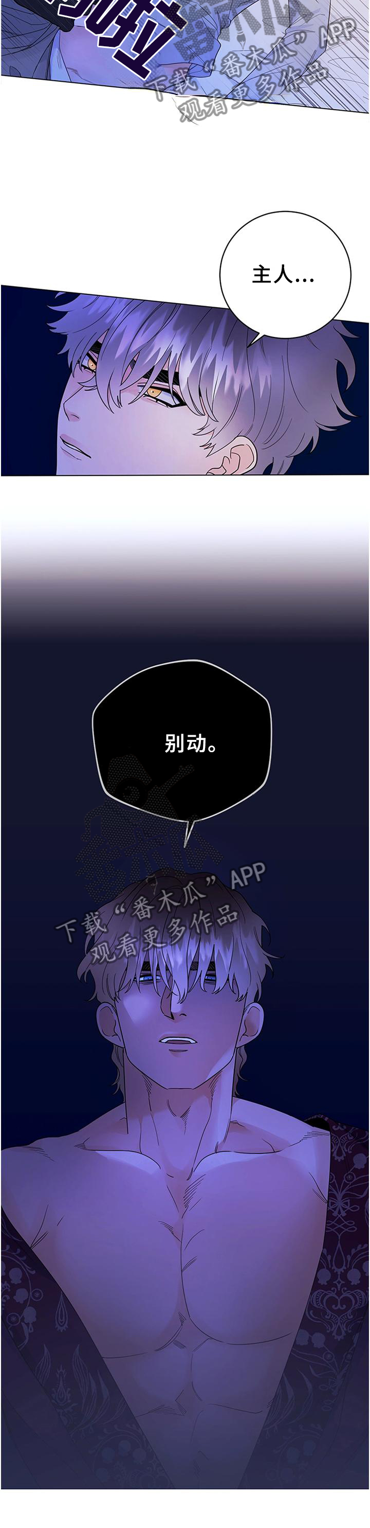 第33章：归来3