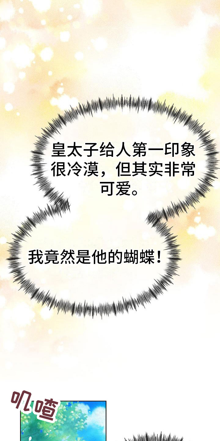 第3章：他的蝴蝶2
