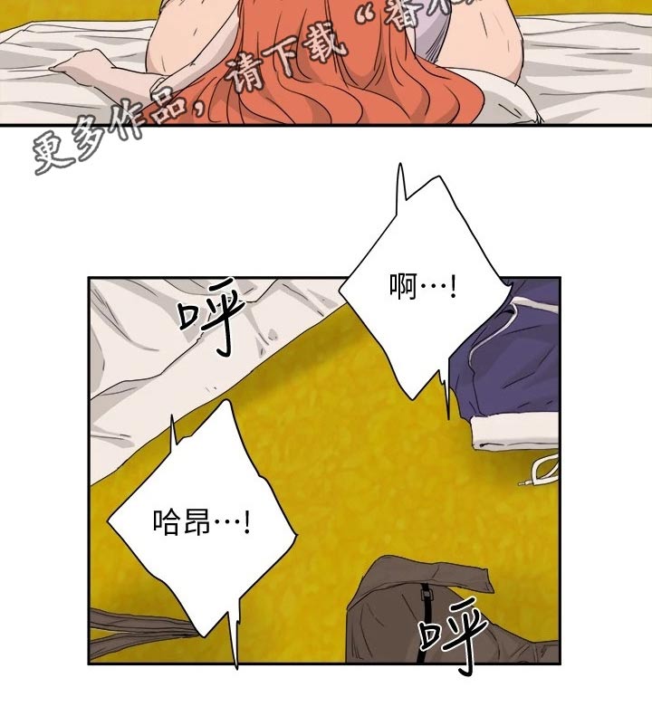 第41章：什么关系3