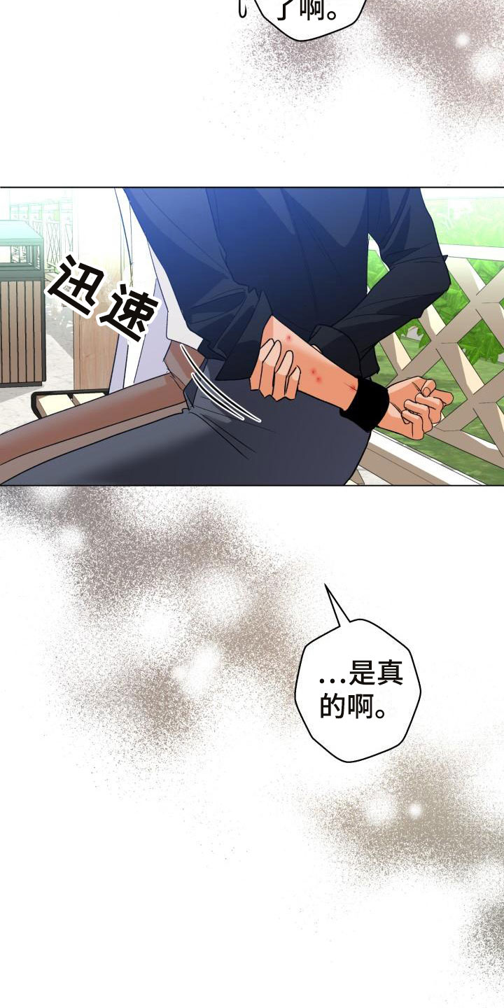 第5章：别惹我：约定3