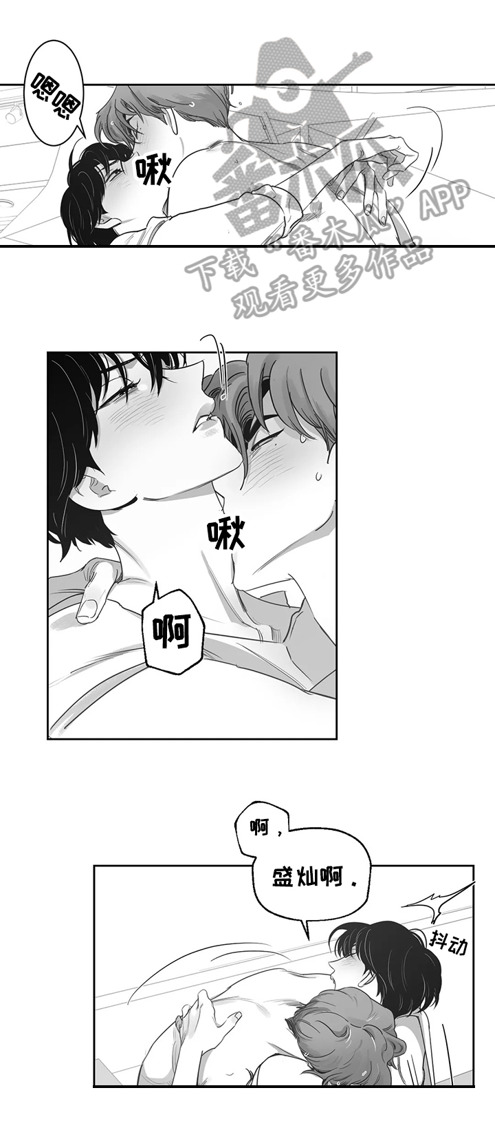 第55章：真正的目的0