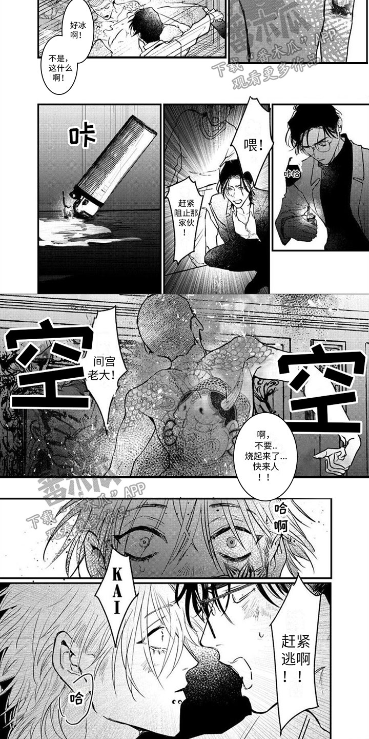 第17章：期待的东西1