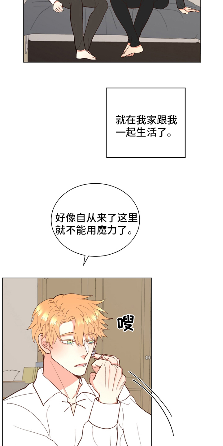 第37章：【番外】一起生活1