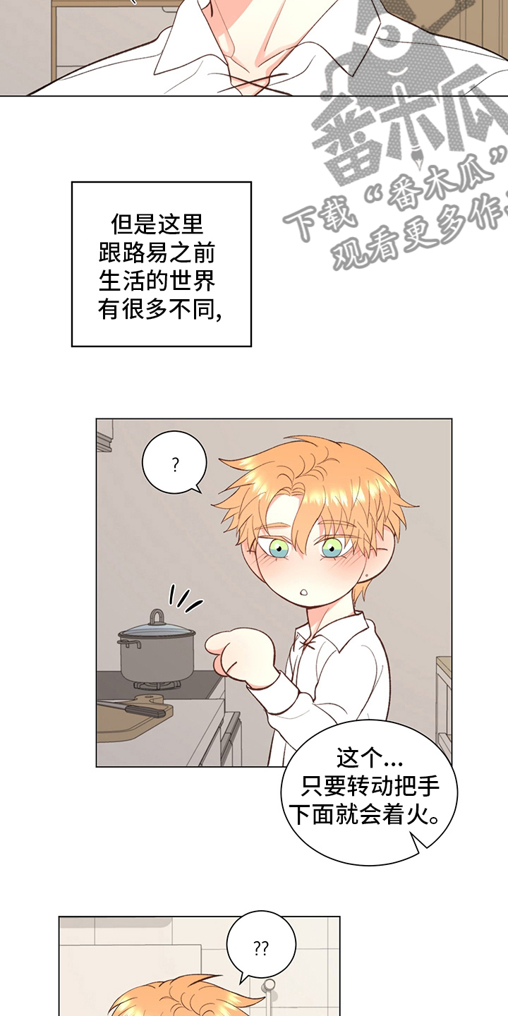 第37章：【番外】一起生活4
