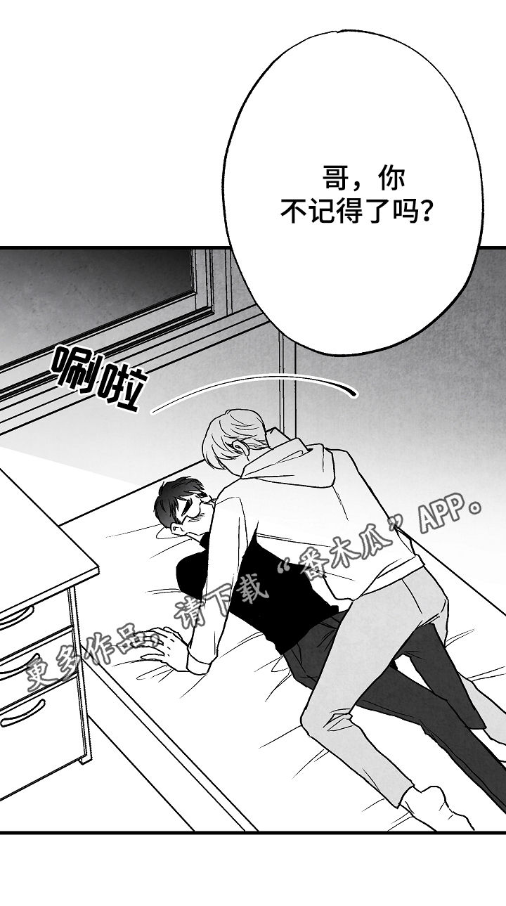 第67章：爱0