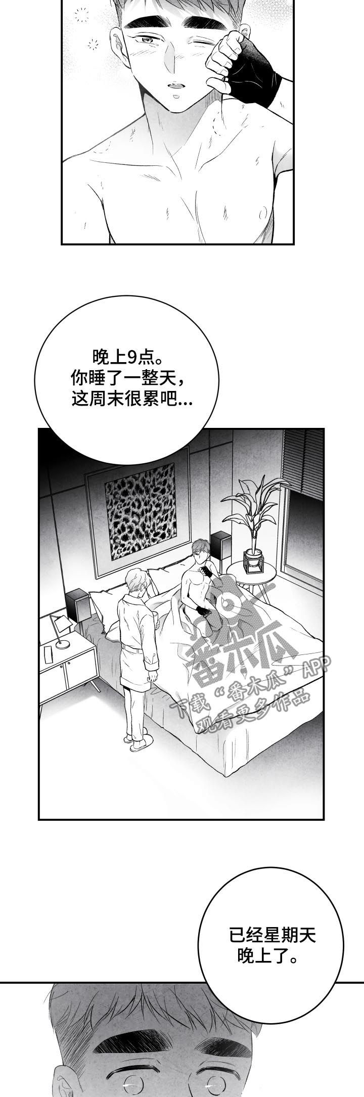 第26章：错过2