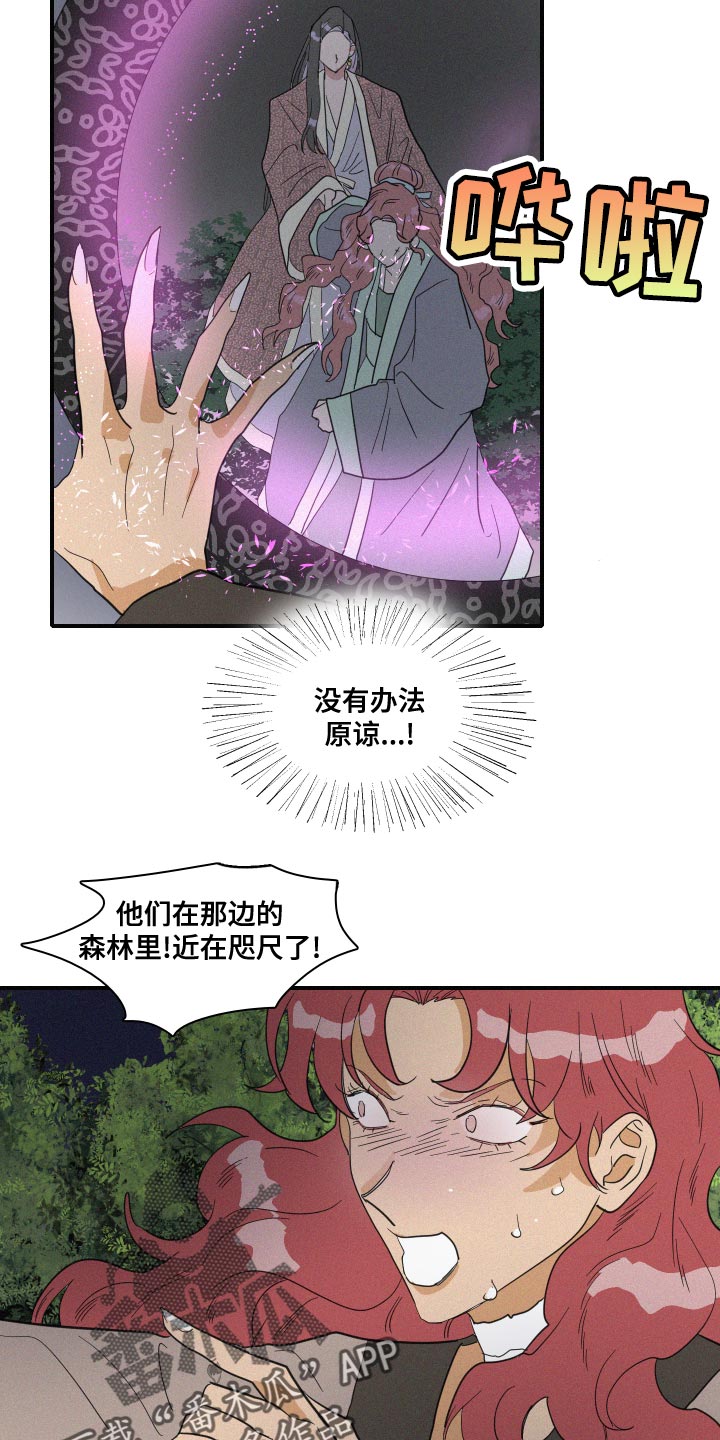第47章：泡沫2