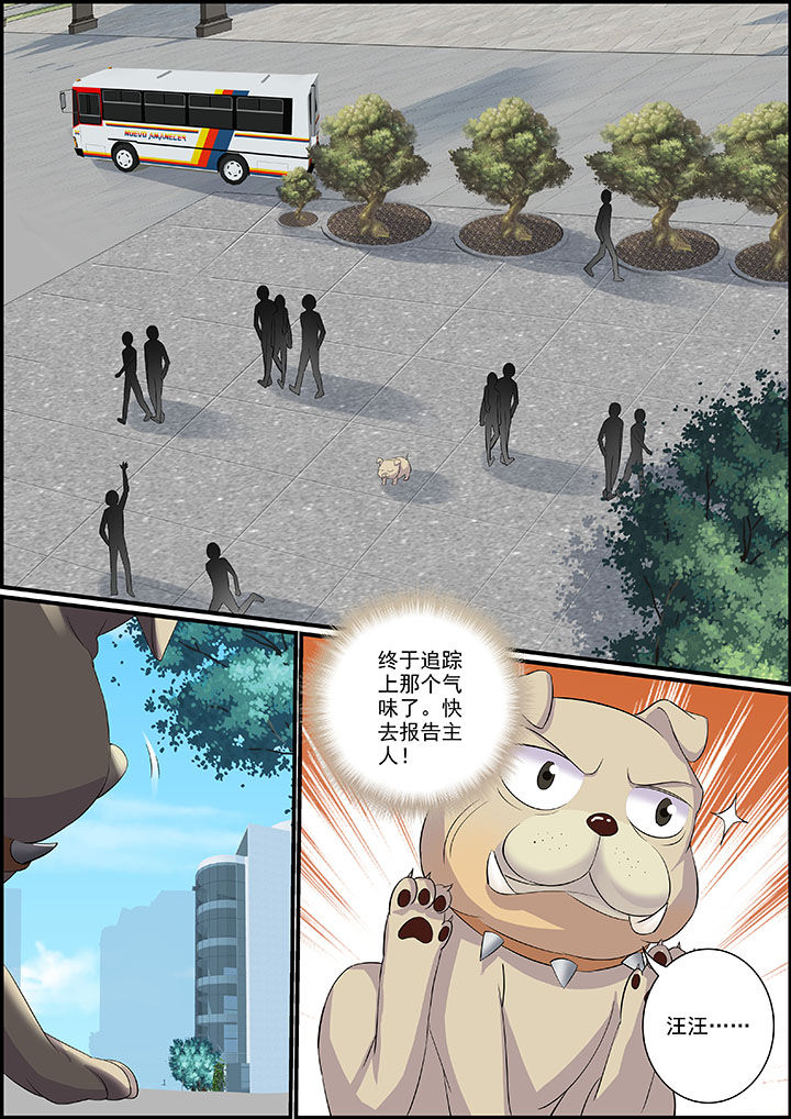 第19章：0