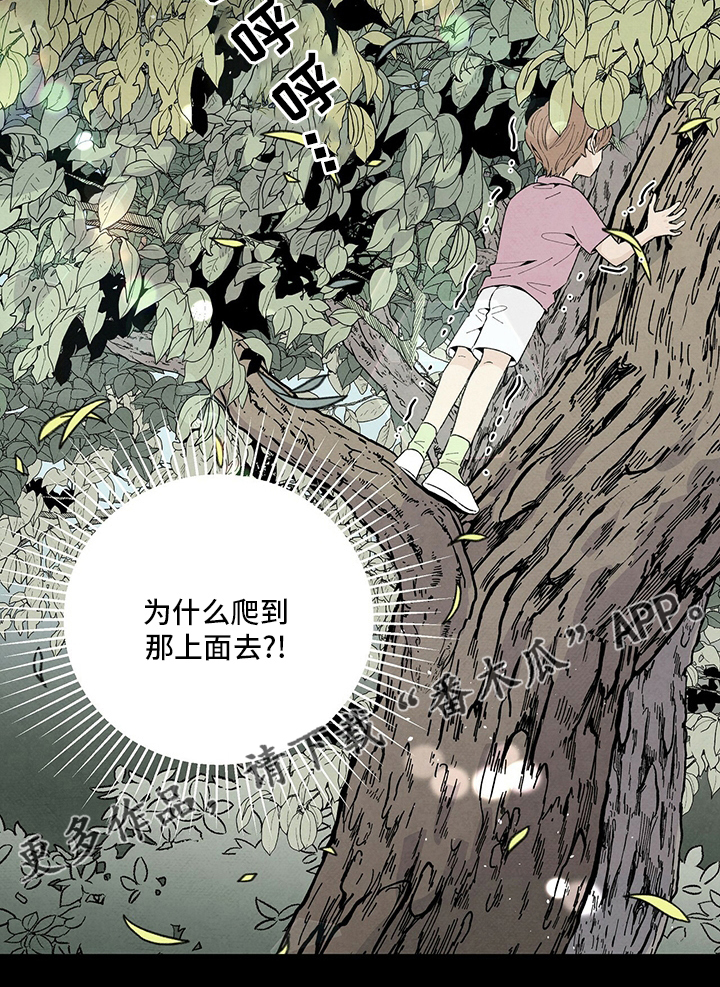 第101章：抱团2