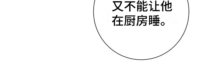 第12章：带回家0