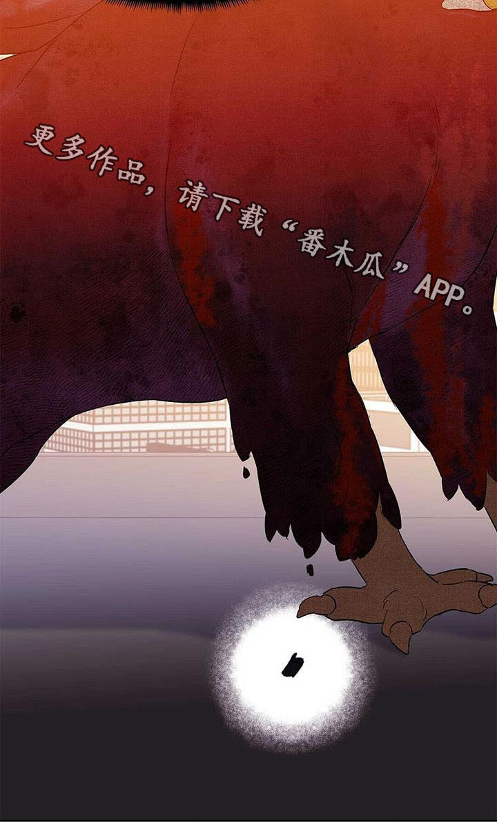 第55章：变形种3