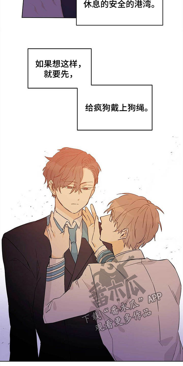 第37章：互相保护1