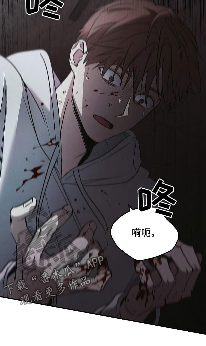 第80章：遇袭1