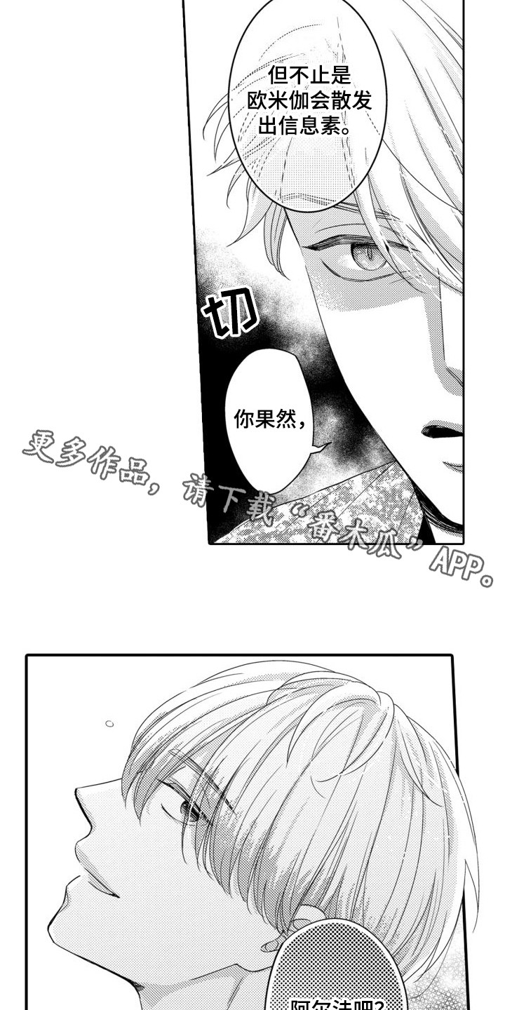 第16章：摊牌3