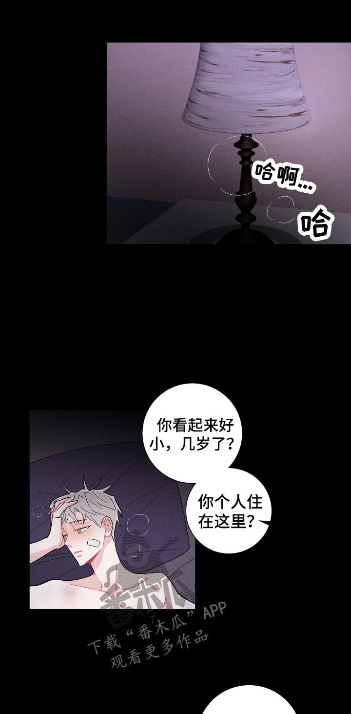 第41章：欺骗与谎言0