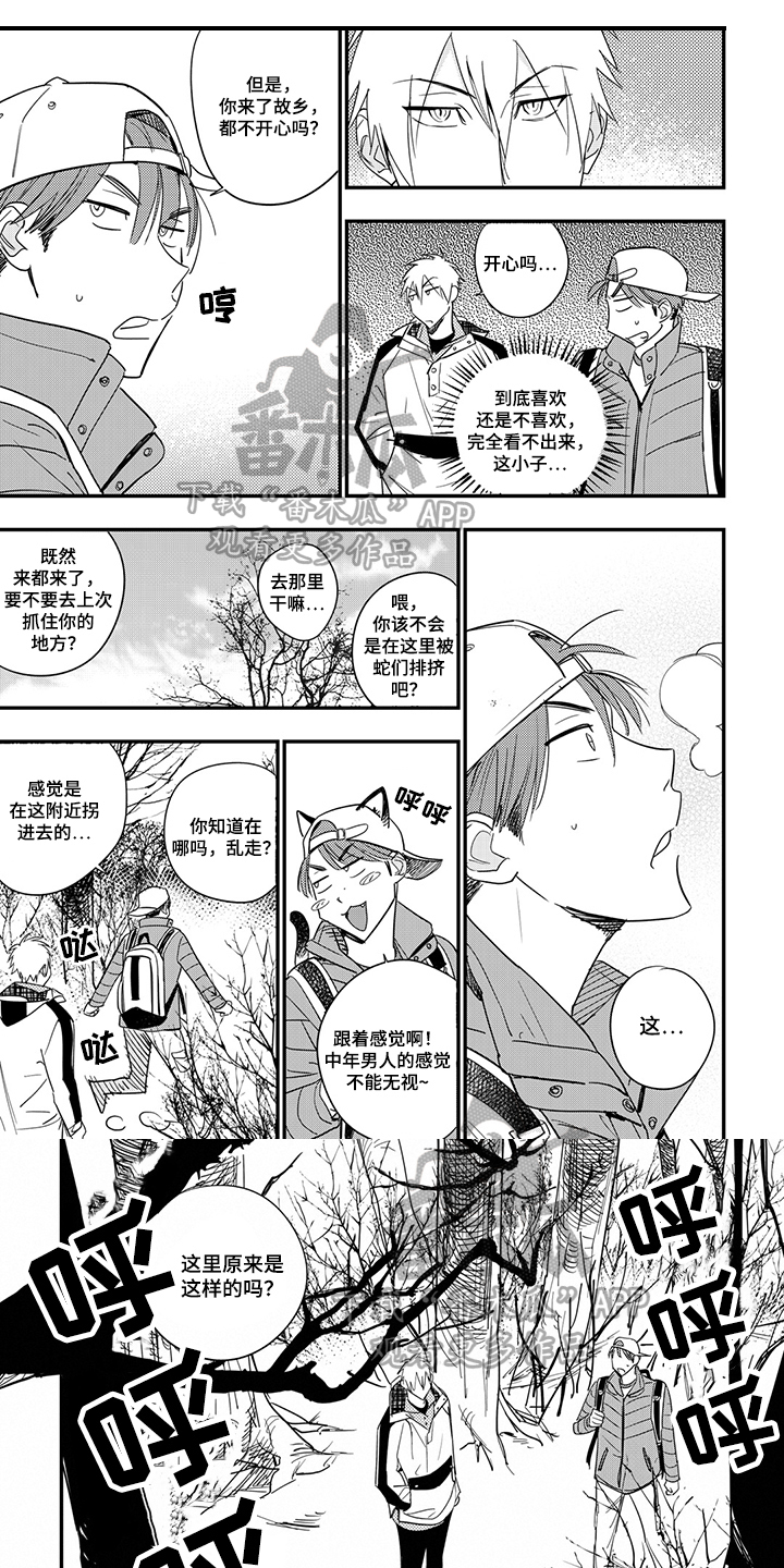 第28章：关注0