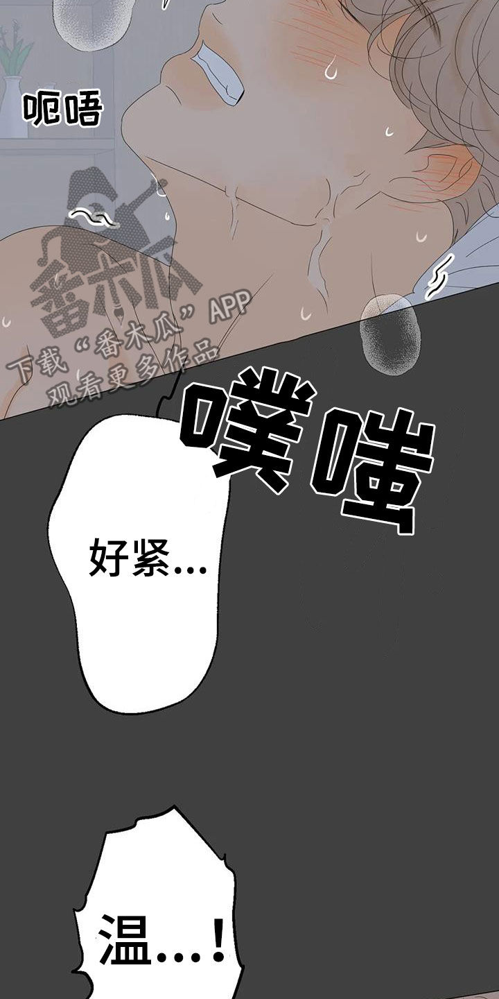 第21章：正在相爱（完结）2