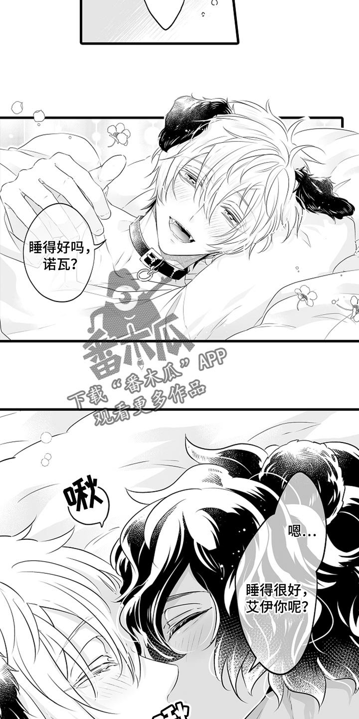 第27章：多费点心思2