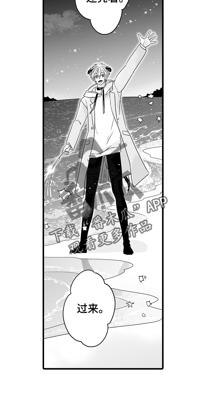 第72章：烟花3