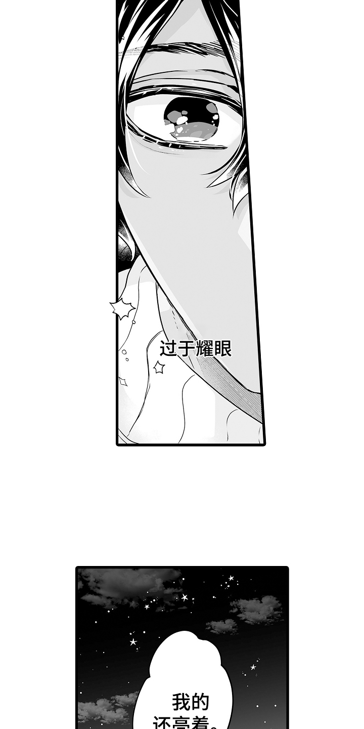 第72章：烟花2