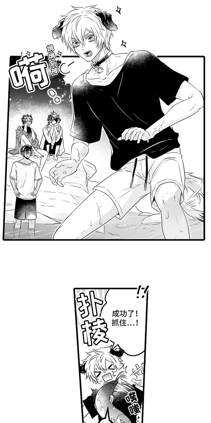 第38章：抓鲑鱼1