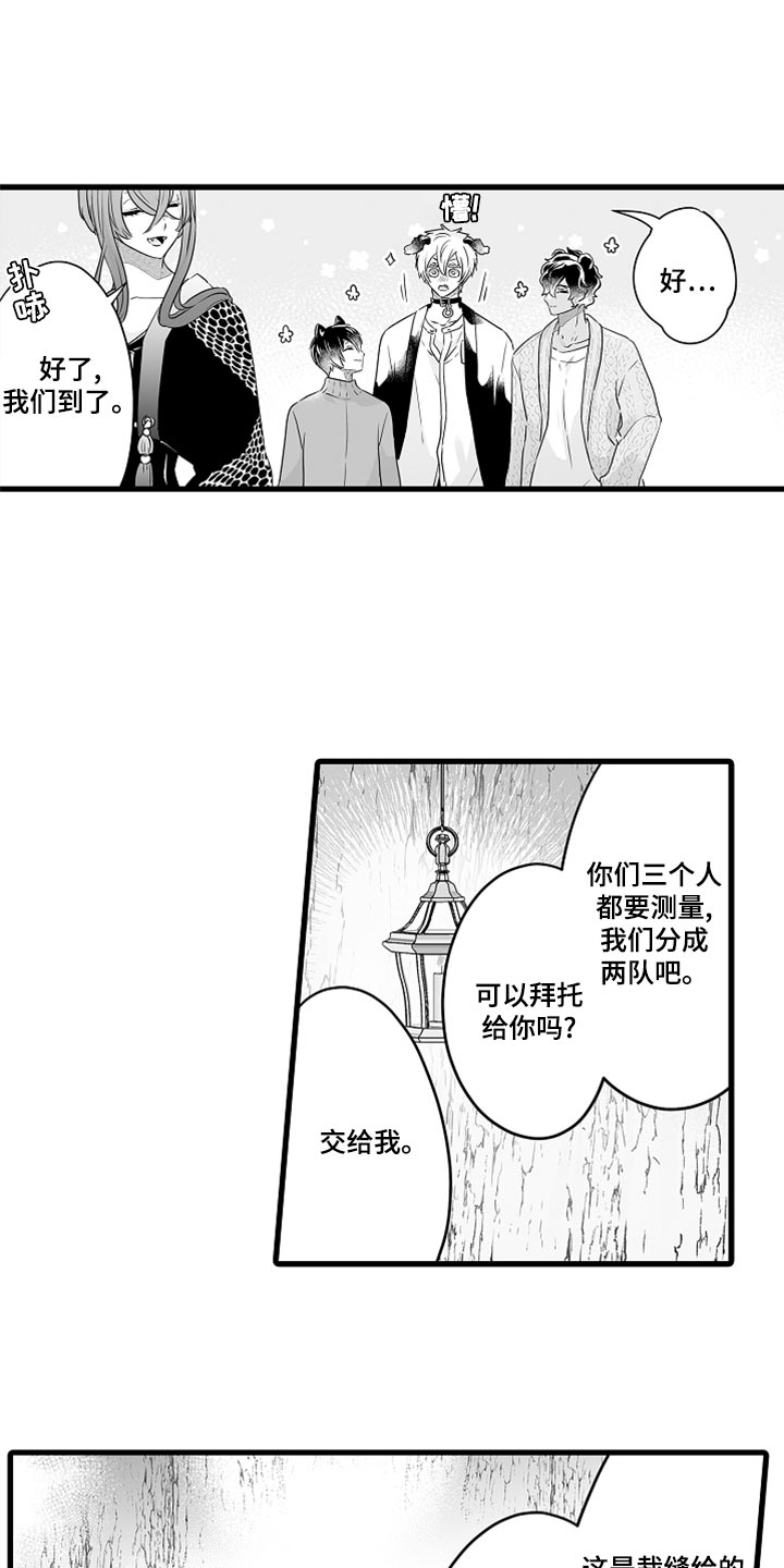 第51章：测量尺寸3
