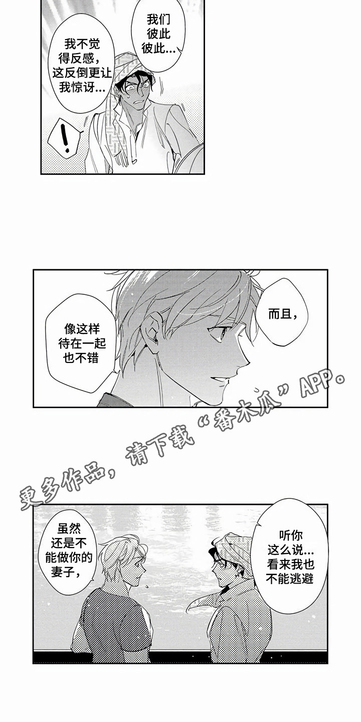 第10章：可以理解2