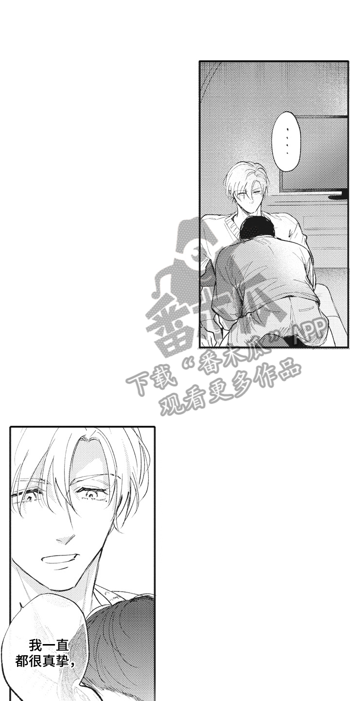 第29章：傻瓜3