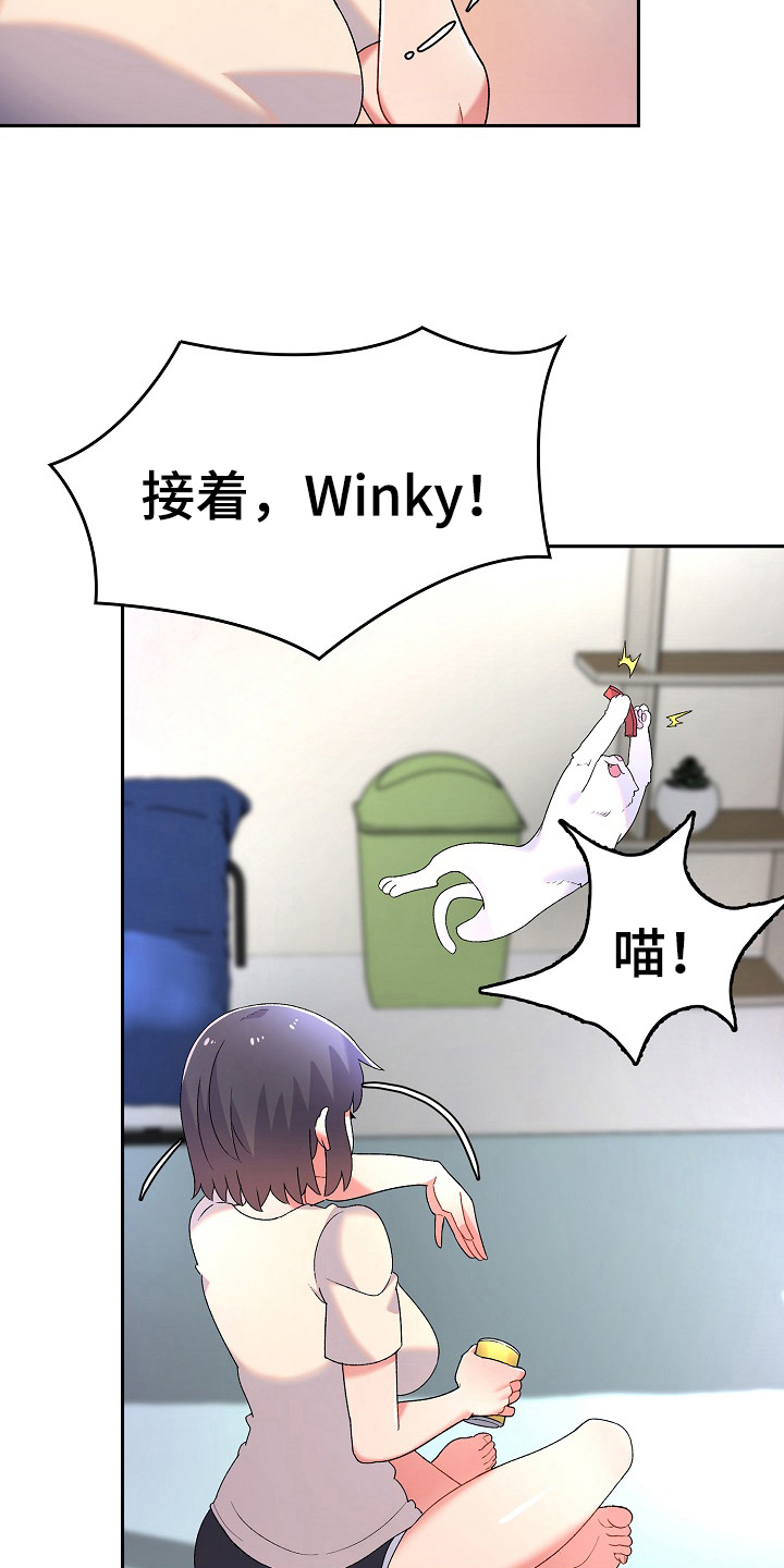 第6章：收留4