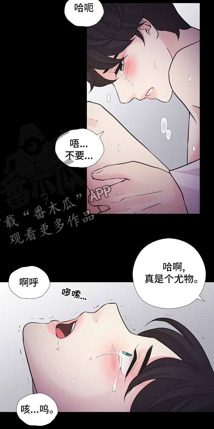 第37章：轮到你了2