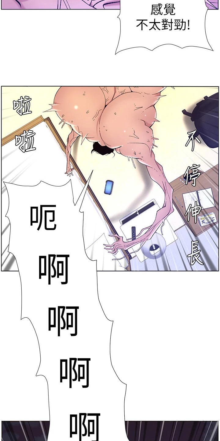 第49章：完美4
