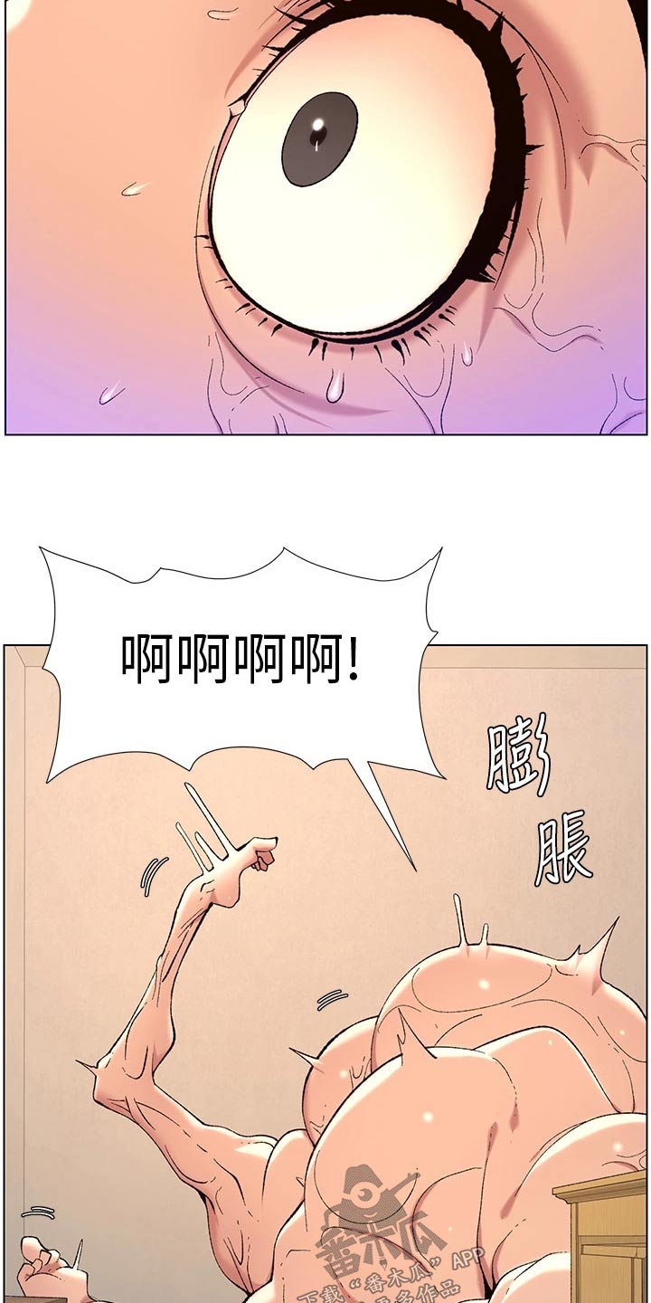第49章：完美2