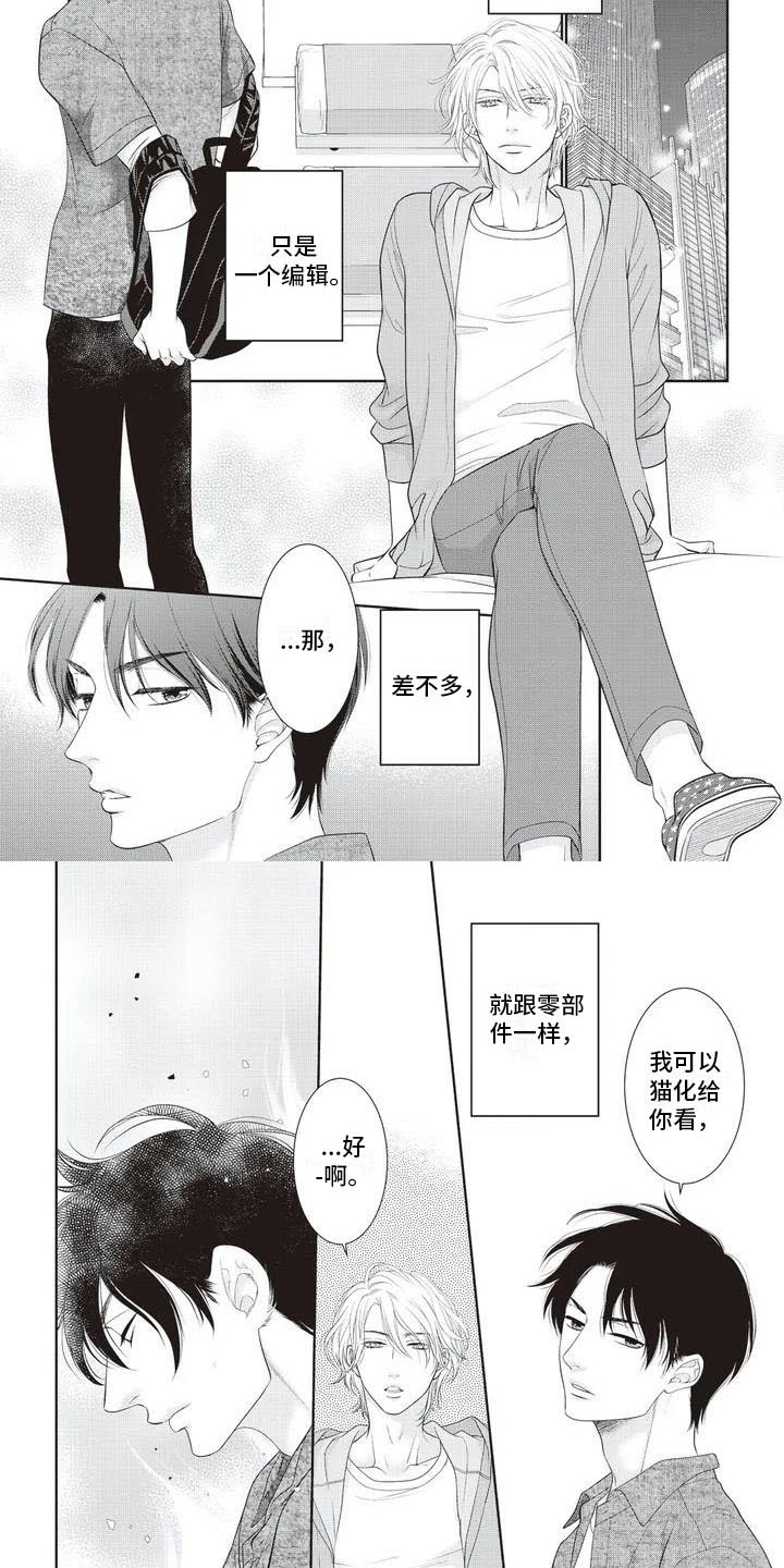 第3章：家猫4