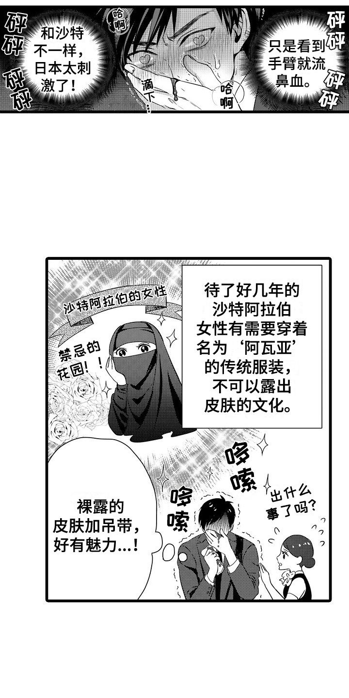 第1章：电车色狼3